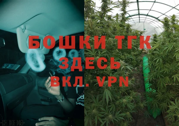 прущие грибы Навашино