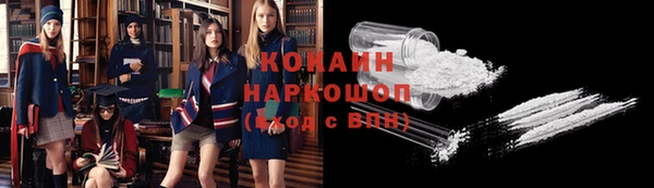 прущие грибы Навашино