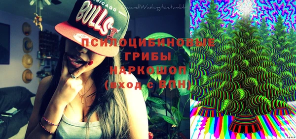 бошки Горнозаводск