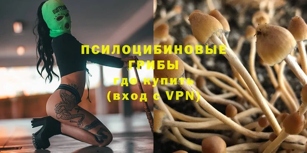 прущий лед Надым