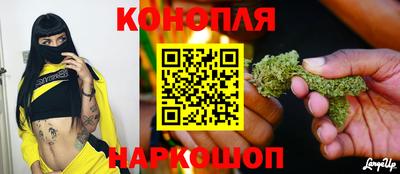 крисы Волжский