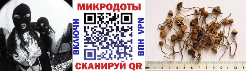 наркота  hydra онион  Галлюциногенные грибы Psilocybe  Сарапул 