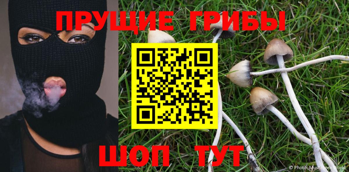 Псилоцибиновые грибы мицелий  Вход с VPN  Сарапул  Псилоцибиновые грибы Magic Shrooms 
